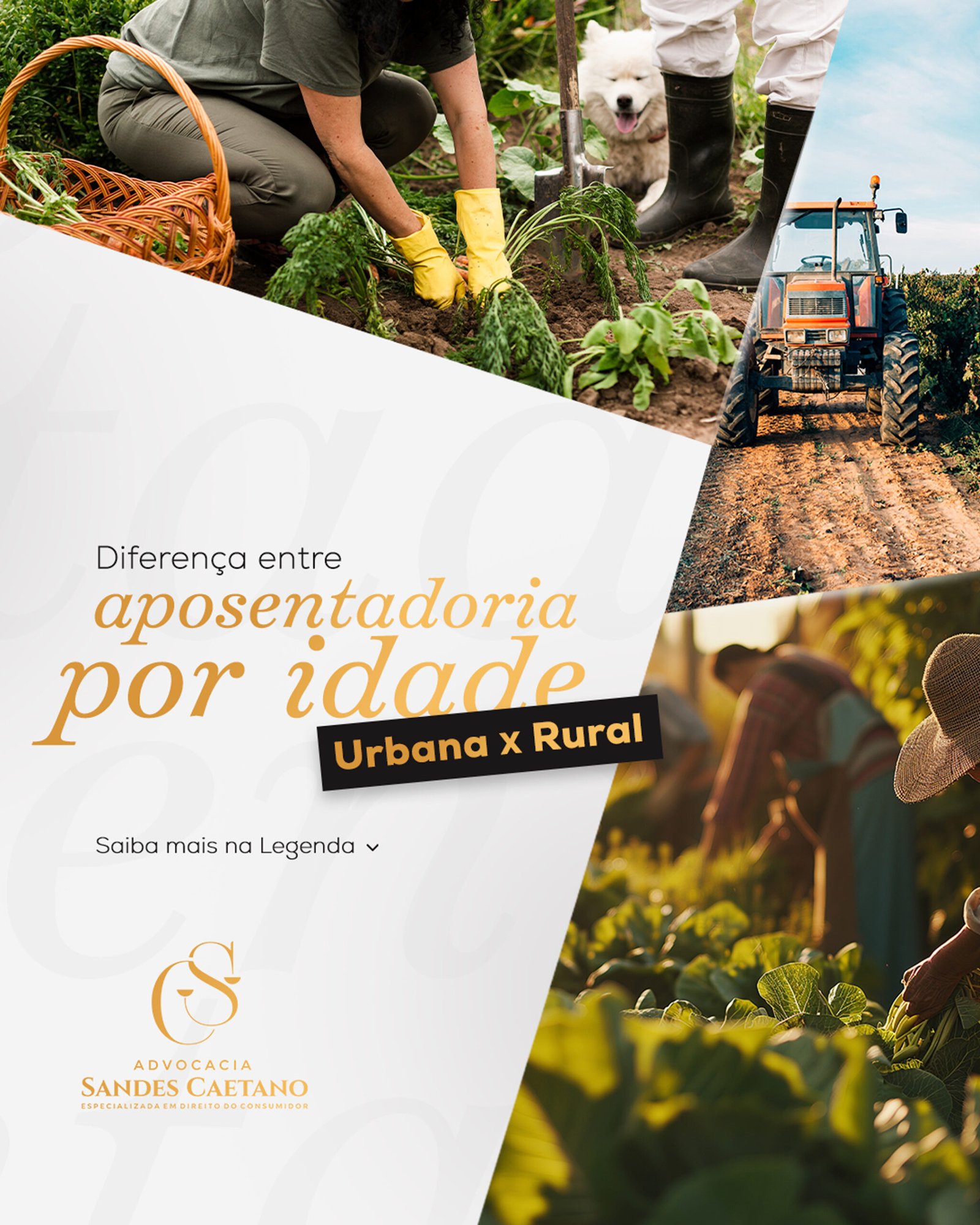 Leia mais sobre o artigo Diferença entre aposentadoria por idade urbana e rural